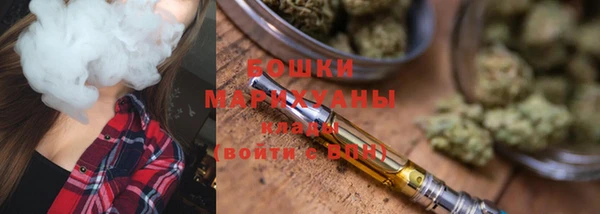 прущие грибы Белоозёрский