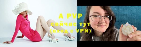прущие грибы Белоозёрский