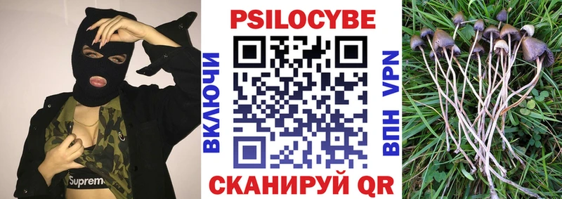сколько стоит Высоцк Галлюциногенные грибы мухоморы