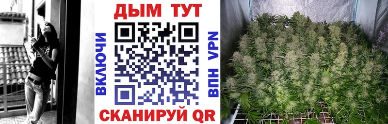 Бошки марихуана планчик  Высоцк 